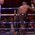 Daniel Dubois retains his WBO heavyweight world title with an emphatic second-round stoppage against Fabio Wardley.