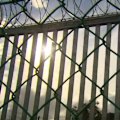 A convicted murderer has taken to the stand to give evidence in the trial of a prison officer who's accused of raping an inmate at Adelaide's women's prison.