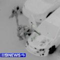 A new father has been accused of leading police on a wild chase from Perth's south to its far north.