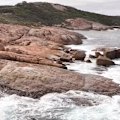 The desperate effort to prevent a bird flu outbreak has widened, with authorities testing two dead seabirds found in South Australia.