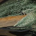 A woman allegedly double the legal limit speared her car windscreen with a pole and careered onto a beach.
