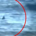 A NSW surfer has had a heart-stopping close encounter with a shark.