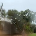 Severe Tropical Cyclone Narelle has intensified again into a category 4 storm as it barrels towards 800km of Western Australia's coastline.