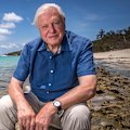 Sir David Attenborough turns 100 years old on 8 May. This is a look at his groundbreaking career.