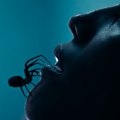 A catastrophic infestation of venomous and deadly spiders sends an apartment building into lockdown.