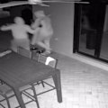 Police are hunting for seven people after a gang was caught on CCTV smashing a door and stealing two BMWs in a violent home invasion in Logan.