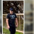 An elderly woman has claimed in court that the widower of alleged fraudster Melissa Caddick shoulder barged her while on an evening walk last year.