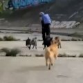 A man has been captured on camera running away from a pack of pet dogs after he allegedly attempted to sexually assault two women in a park in Melbourne’s south-east.