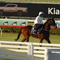 Top horse trainer David Hayes is pleased with superstar Ka Ying Rising as he looks to defend his Everest crown in Sydney.