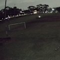 A football club in Sydney's south-west has called out the driver of a ute who drove onto the field and performed several burnouts.