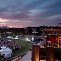 Xavier College in Kew's impressive grounds. Vision: Supplied.