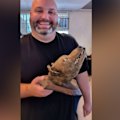 Successful bidder James Cranfield, a taxidermy enthusiast, suspected it was something special when he first saw it advertised as a 