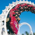 Sea World cork screw