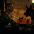 A survival adventure with Brad Pitt stranded in the Alaskan wilderness alongside his faithful canine companion.