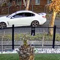 Victoria Police says the white Holden Commodore sedan drove past the crime boss's Altona North house several times on Sunday afternoon.