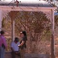 A renewed search for evidence into the disappearance of Gus Lamont is underway at the rural South Australian station from which he disappeared.