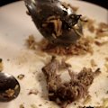 A Perth woman has been charged after allegedly contaminating a colleague's curry with snail pellets.