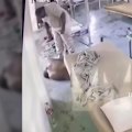 The Fiji Corrections Service is investigating the alleged assault of an Australian inmate by a prison officer at Lautoka Corrections after CCTV footage was published online.