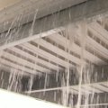 The Bureau of Meteorology is under fire after reports of incorrect rain forecasts in Queensland.