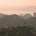 Sydney has been left under a thick haze with winds pushing smoke from bushfires burning on the NSW Mid North coast.