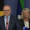 Anthony Albanese and Chris Minns have announced a gun buyback scheme to take place in NSW.
