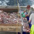 Rising fuel costs are putting fishermen under pressure, with fears the price increase could impact Easter seafood.