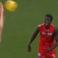 Gold Coast coach Damien Hardwick was visibly frustrated by this free kick given to Geelong.