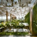 The vertical 'green wall' garden in Terminal 3 at Changi Airport.