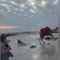 A rider has been bucked from a camel during a popular tour on Broome's Cable Beach.