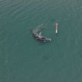 Fears are growing for a juvenile whale that has spent more than a week in the Peel-Harvey Estuary.