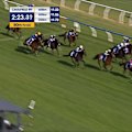 Kingswood led a grey 1-2 as two horses went down on the home straight in the Caulfield Cup.