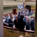 A protester linked to anti-coal group Rising Tide was forcibly restrained by MPs after he jumped into the chamber during Question Time on Tuesday.