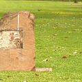 Thieves have stolen historic World War I plaques from an Adelaide memorial, with 9News footage helping locate discarded pieces.