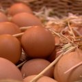 The ACCC is suing Sunny Queen and 11 other egg producers for allegedly conspiring to control supply and sales.