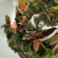 Dish of the day: Smoked trout, fresh leaves and poached egg with samphire salsa.