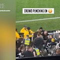 Fans punch on at Collingwood and Western Bulldogs AFL wildcard final