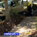 Two men are in custody after a dramatic police chase that saw multiple cars allegedly stolen and a police helicopter shot at on the Sunshine Coast.