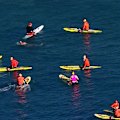 A week after a shark attack that put a woman in hospital, the local community gathered at Coogee beach for a swim-out.
