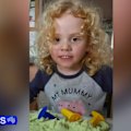 A suspect has been identified in the disappearance of four-year-old Gus Lamont, with police declaring the case a major crime.
