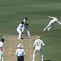 Steve Smith drops the chance to grab a screamer after a ricochet off wicket-keeper Alex Carey tested his reflexes.