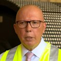 A teenager accused of plotting a nail bomb attack against then-opposition leader Peter Dutton has been found not guilty of preparing a terrorist act.