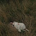 Georgia Oakley and Diana Reid put a new spin on Jane Austen's classic tale.