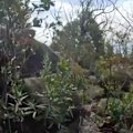 The search for an 18-year-old hiker who went missing south-west of Sydney will continue today despite challenging conditions.