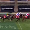 Cosmic Crusader defies the bookies to win the Cox Plate.