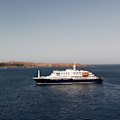 A suspected virus outbreak on a cruise ship in the Atlantic Ocean has killed three people and sickened at least three others, the World Health Organisation says.