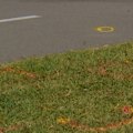 A 39-year-old man has died after his e-scooter collided with an electric skateboard in Hervey Bay.