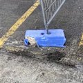 Fire ants have been detected in Sydney’s Inner West and are believed to have arrived from overseas via a shipping container.