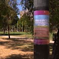 A Melbourne community will come together for a picnic in support of three men who were the subject of a homophobic attack.