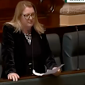 Former Treaty minister Natalie Hutchins made the claim against a Melton councillor's partner under parliamentary privilege.
