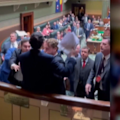 A climate change activist invaded the NSW parliament chamber during question time, leading to confusion and terror fears.